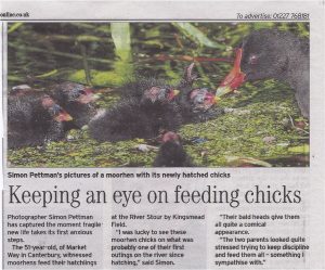 Gazette article
