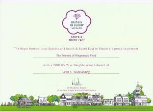 It's Your Neighbourhood certificate