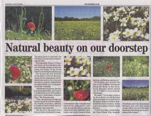 Article from Gazette showing pictures from around the River Stour