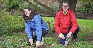 Two volunteers planting bulbs