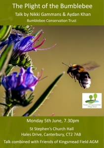 Poster for AGM featuring a bumblebee flying towards purple flowers. Text gives the details for the event as given in the paragraph above the image